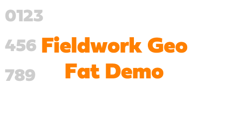 Fieldwork Geo Fat Demo