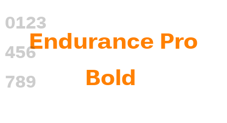 Endurance Pro Bold