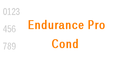 Endurance Pro Cond