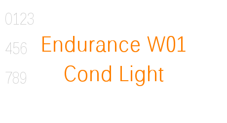 Endurance W01 Cond Light