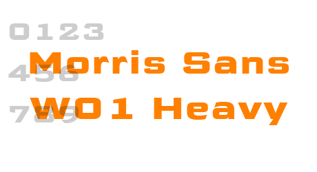 Morris Sans W01 Heavy