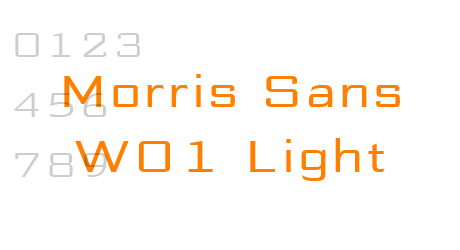 Morris Sans W01 Light