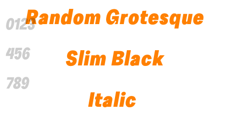 Random Grotesque Slim Black Italic