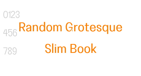 Random Grotesque Slim Book