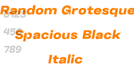Random Grotesque Spacious Black Italic