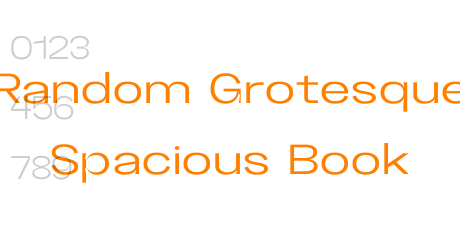 Random Grotesque Spacious Book