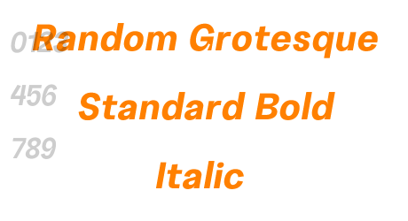 Random Grotesque Standard Bold Italic