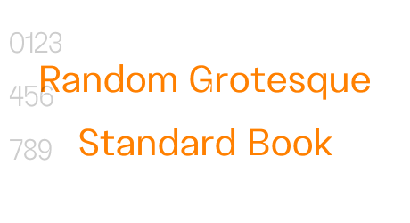 Random Grotesque Standard Book