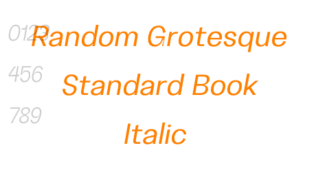Random Grotesque Standard Book Italic