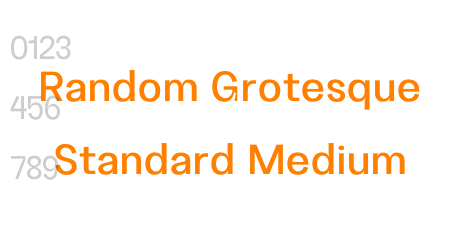 Random Grotesque Standard Medium