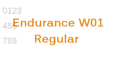 Endurance W01 Regular