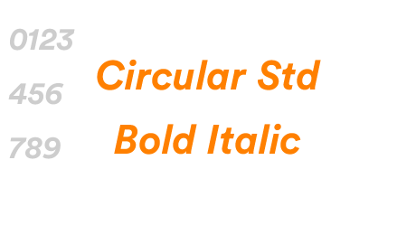 Circular Std Bold Italic