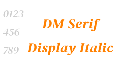 DM Serif Display Italic