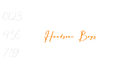 Handsome Boys
