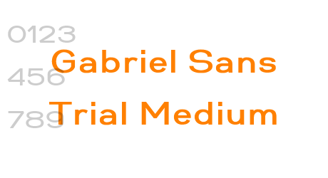 Gabriel Sans Trial Medium