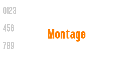 Montage