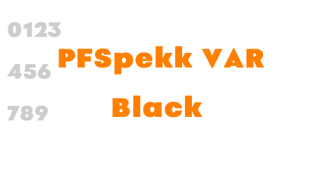 PFSpekk VAR Black