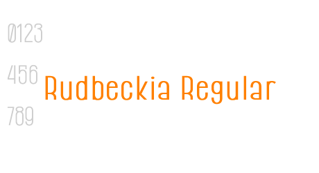Rudbeckia Regular