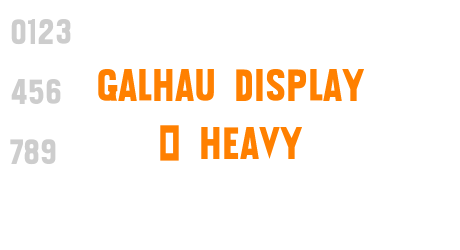 Galhau Display – Heavy