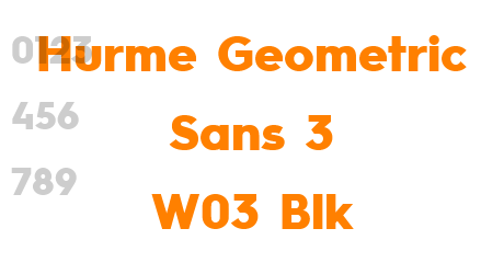 Hurme Geometric Sans 3 W03 Blk