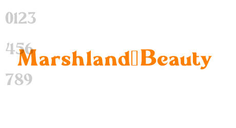 Marshland_Beauty
