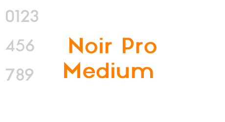 Noir Pro Medium