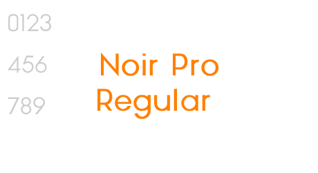 Noir Pro Regular