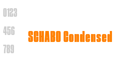 SCHABO Condensed