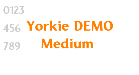 Yorkie DEMO Medium