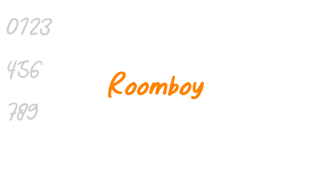 Roomboy