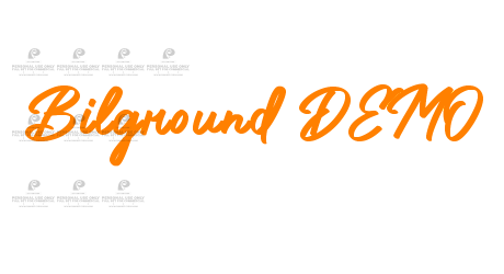 Bilground DEMO