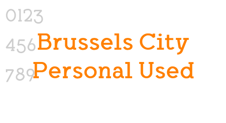 Brussels City Personal Used
