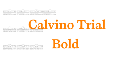 Calvino Trial Bold