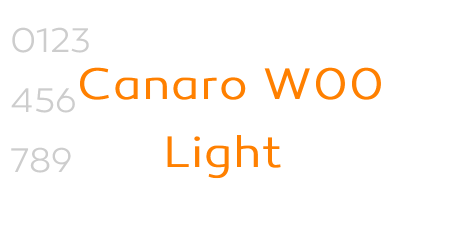 Canaro W00 Light