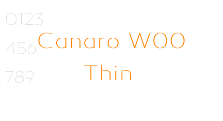 Canaro W00 Thin