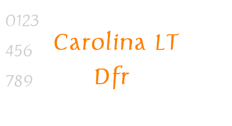 Carolina LT Dfr