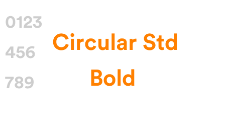 Circular Std Bold
