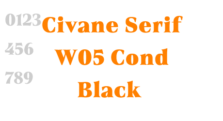 Civane Serif W05 Cond Black