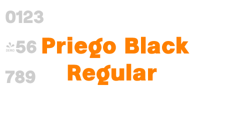 Priego Black Regular