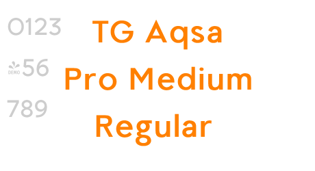 TG Aqsa Pro Medium Regular