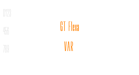 GT Flexa VAR