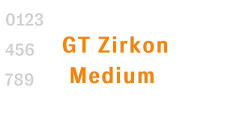 GT Zirkon Medium