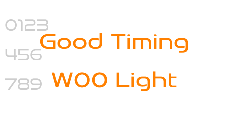 Good Timing W00 Light