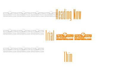 Heading Now Trial 01 Thin