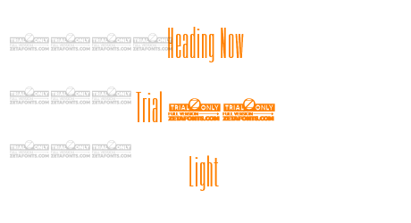 Heading Now Trial 02 Light