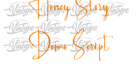 Honey Story Demo Script