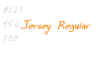 Jersey Regular
