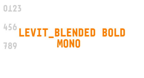 Levit_Blended Bold Mono