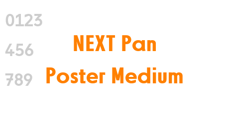 NEXT Pan Poster Medium