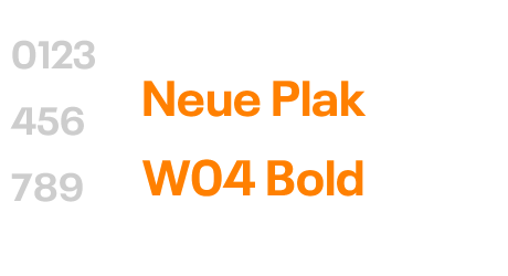 Neue Plak W04 Bold